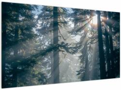 Mivali Tablou cu copaci și soarele translucind, dintr-o bucată 120x70 cm (V021195V12070)