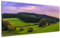 Mivali Tablou cu lunca, dintr-o bucată 120x50 cm (V020343V12050)