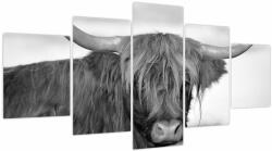 Mivali Tablou - Vacă scoțiană 2, alb-negru, din cinci bucăți 150x80 cm (V024117V150805PCS)