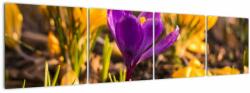 Mivali Tablou cu floare violetă, din patru bucăți 160x40 cm (V020341V16040)