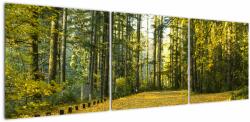 Mivali Tablou - pădurea toamna, din trei bucăți 150x50 cm (V020218V15050)