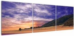 Mivali Tablou cu lunca cu lavandă, din trei bucăți 150x50 cm (V022156V15050)
