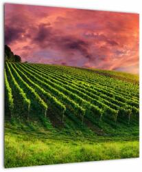 Mivali Tablou cu vie cu cerul color, dintr-o bucată 50x50 cm (V020336V5050)