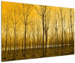 Mivali Tablou - Palntație cu pomi, dintr-o bucată 120x80 cm (V021313V12080)