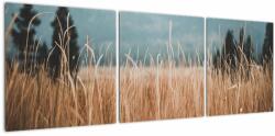 Mivali Tablou - detaliu spațiului de luncă, din trei bucăți 120x40 cm (V020178V12040)