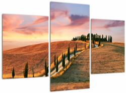 Mivali Tablou - Casa pe deal Toscana, Italia, din trei bucăți 90x60 cm (V022506V90603PCS)