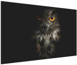 Mivali Tablou cu bufnița, dintr-o bucată 150x100 cm (V020966V150100)