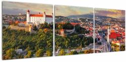 Mivali Tablou - Panorama bratislavei, Slovacia, din trei bucăți 120x40 cm (V023405V12040)