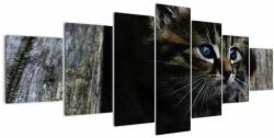 Mivali Tablou cu pisicuța, din șapte bucăți 210x100 cm (V020637V210100)