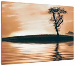 Mivali Tablou - Copaci pe insulă, dintr-o bucată 70x50 cm (V022626V7050)