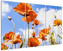 Mivali Tablou cu macii, din trei bucăți 120x80 cm (V020407V120803PCS)