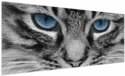 Mivali Tablou cu pisica, dintr-o bucată 250x125 cm (V021221V250125)