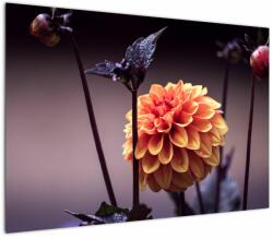 Mivali Tablou - Floare, dintr-o bucată 100x70 cm (V021329V10070)