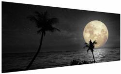 Mivali Tablou - Plaja cu lună plină, nuanțe gri, dintr-o bucată 250x125 cm (V023127V250125)