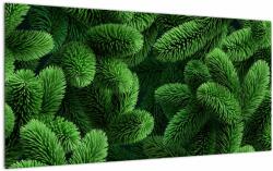 Mivali Tablou pe sticlă - Ramuri de conifere, dintr-o bucată 100x50 cm pe sticlă (V022922V10050GD)