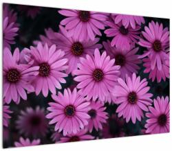 Mivali Tablou cu florile roz, dintr-o bucată 100x70 cm (V020923V10070)