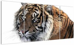 Mivali Tablou cu tigrul, din patru bucăți 160x80 cm (V021143V16080)