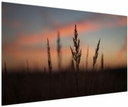 Mivali Tablou - Silueta plantei, dintr-o bucată 150x100 cm (V022647V150100)