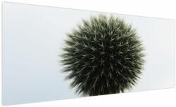 Mivali Tablou - Sfere de flori, dintr-o bucată 250x125 cm (V022586V250125)
