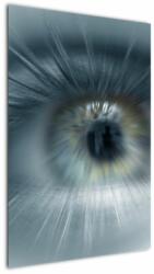 Mivali Tablou - Privirea ochiului, dintr-o bucată 60x90 cm (V022319V6090)