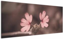 Mivali Tablou cu floare roz, dintr-o bucată 120x50 cm (V020375V12050)