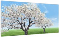 Mivali Tablou pe sticlă cu copaci, dintr-o bucată 100x50 cm pe sticlă (V021104V10050GD)