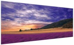 Mivali Tablou cu lunca cu lavandă, dintr-o bucată 250x125 cm (V022156V250125)