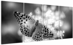 Mivali Tablou - Detailu cu fluture care polenizează floare, din patru bucăți 160x80 cm (V022085V16080)