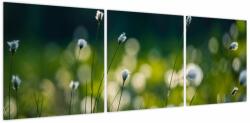 Mivali Tablou - Iarbă, din trei bucăți 120x40 cm (V024003V12040)