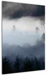 Mivali Tablou cu ceță deasupra pădurii, dintr-o bucată 50x70 cm (V021947V5070)