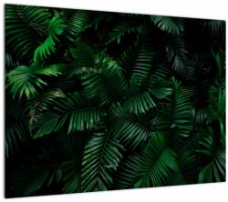 Mivali Tablou pe sticlă - Păpădii tropicale, dintr-o bucată 70x50 cm pe sticlă (V022138V7050GD)