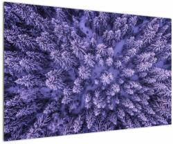 Mivali Tablou cu copacii înzăpeziți, dintr-o bucată 120x80 cm (V021148V12080)