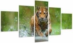 Mivali Tablou - Tigru care aleargă, din cinci bucăți 125x70 cm (V023886V12570)