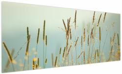 Mivali Tablou - Luncă, dintr-o bucată 250x125 cm (V023851V250125)