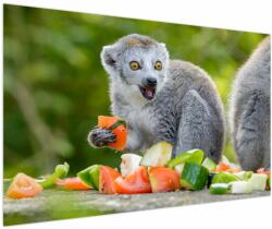 Mivali Tablou cu lemur, dintr-o bucată 150x100 cm (V021127V150100)