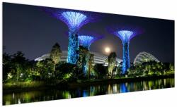 Mivali Tablou cu lună plină în grădinile din Singapur, dintr-o bucată 250x125 cm (V021710V250125)