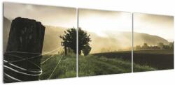 Mivali Tabloucu luncă, din trei bucăți 150x50 cm (V020699V15050)