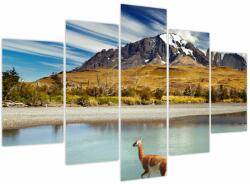 Mivali Tablou - Parcul Național Torres del Paine, din cinci bucăți 150x105 cm (V023745V150105)