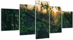 Mivali Tablou - Soarele strălucind printre crengile copacilor, din cinci bucăți 150x80 cm (V022735V150805PCS)