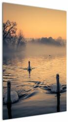 Mivali Tablou cu lebăde pe apă în ceață, dintr-o bucată 60x90 cm (V020989V6090)