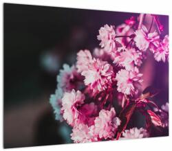 Mivali Tablou cu florile copacilor, dintr-o bucată 70x50 cm (V020156V7050)