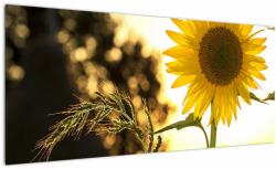 Mivali Tablou cu floarea soarelui, dintr-o bucată 100x40 cm (V020543V10040)