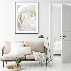 Mivali Poster - Trandafir blând, mărimea 30x30 cm (S040001S3030)