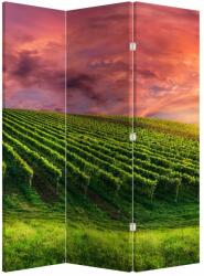 Mivali Paravan - Vie cu cerul color, din 3 bucăți, 126x170 cm (P020336P135180)