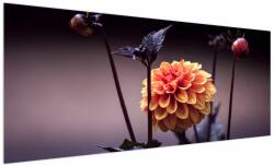 Mivali Tablou - Floare, dintr-o bucată 250x125 cm (V021329V250125)