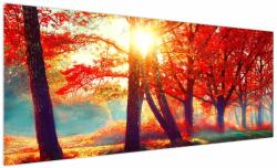 Mivali Tablou - Peisaj de toamnă, dintr-o bucată 250x125 cm (V022480V250125)