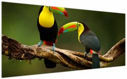 Mivali Tablou tucani sezând , Costa Rica, dintr-o bucată 200x100 cm (V021775V200100)