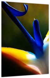 Mivali Tablou - Floare exotică, dintr-o bucată 30x40 cm (V023749V3040)