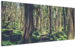 Mivali Tablou cu drum între copaci, dintr-o bucată 120x50 cm (V021217V12050)
