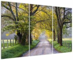 Mivali Tablou - Smoky Mountains, Gatlinburg, SUA, din trei bucăți 120x80 cm (V023372V120803PCS)